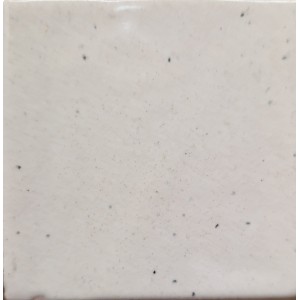 Smalto BIANCO VIETRI ANTICO PUNTINATO -  apiombico