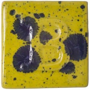 Pansy