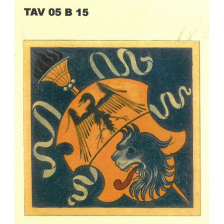 Tav 05 B 15 - Spolvero