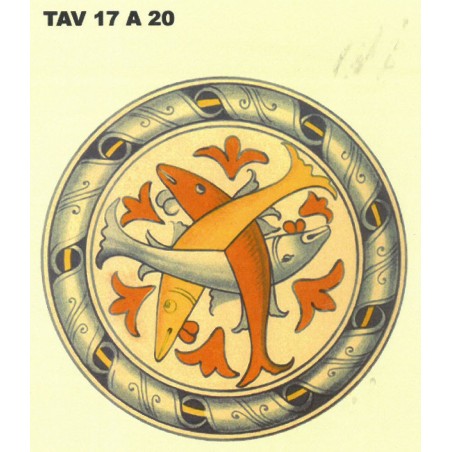 Tav 17 A 20 - Spolvero