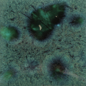 Peacock green