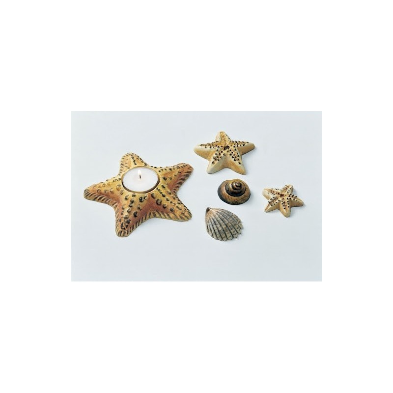 HF247 Stelle marine conchiglie