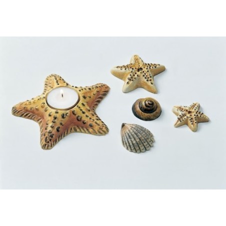 HF247 Stelle marine conchiglie
