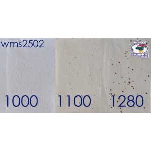 WMS2502