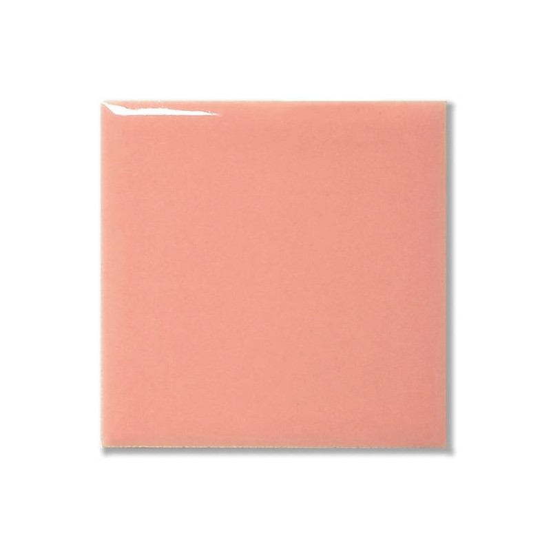 FG1063 Baby Rosa