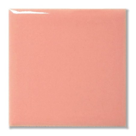 FG1063 Baby Rosa