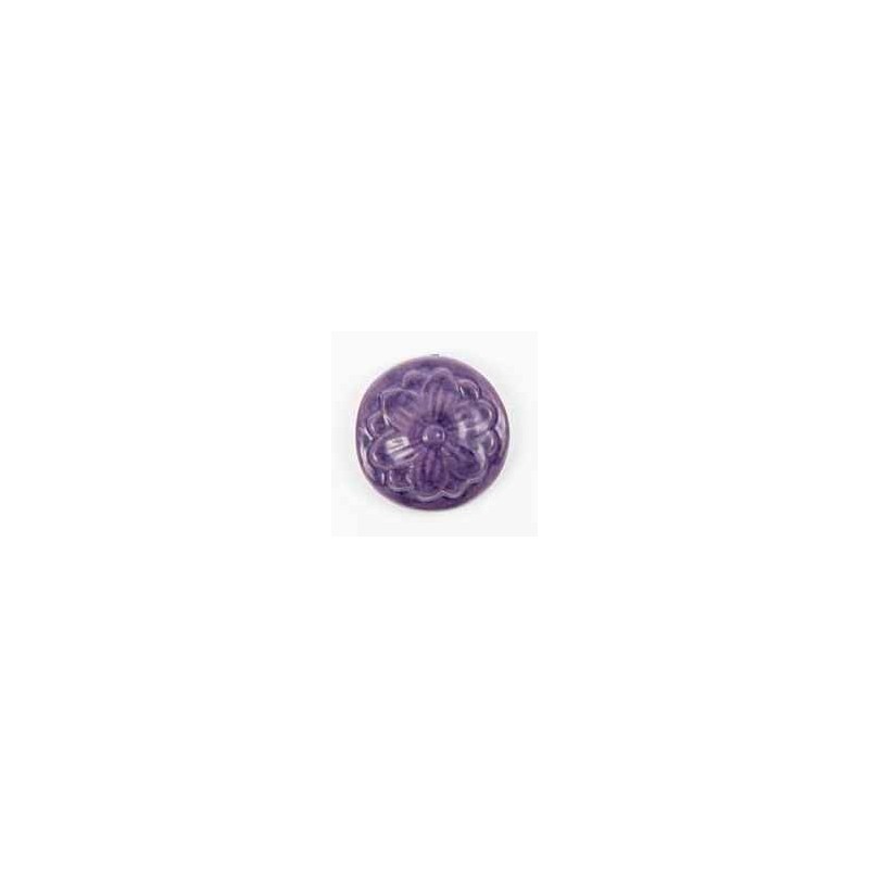 Blueberry - Terra Bella