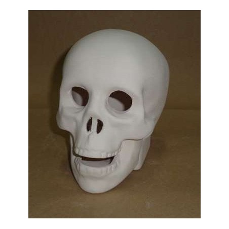 CN08a Teschio occhi forati cm.14