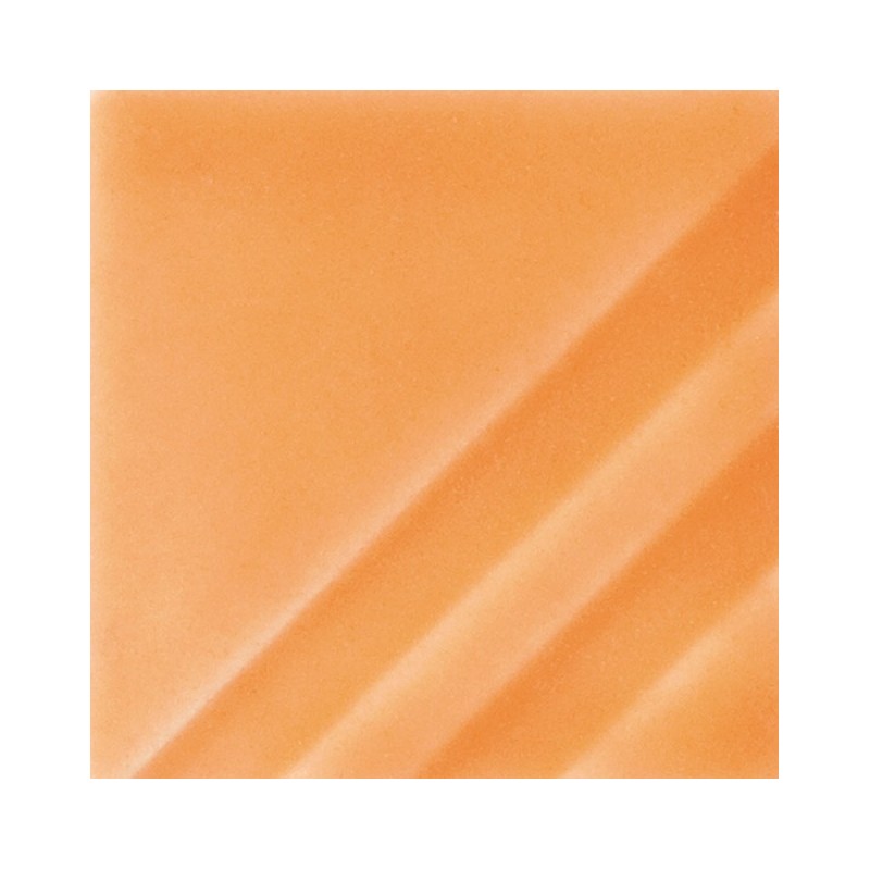 FN-207 Orange Slice