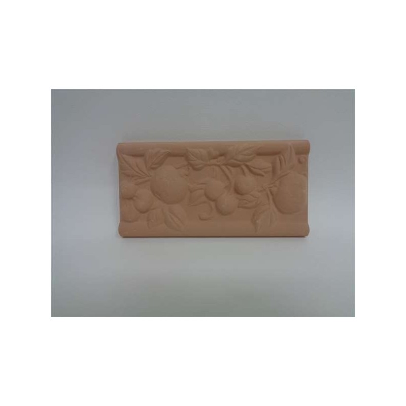 Ps Piastrella frutta 10x20