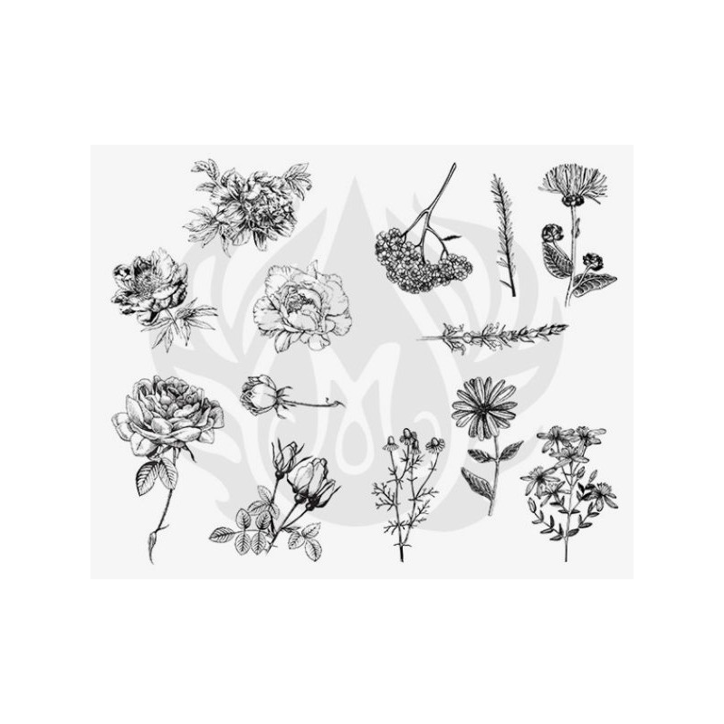 DSS-0112 Flowers