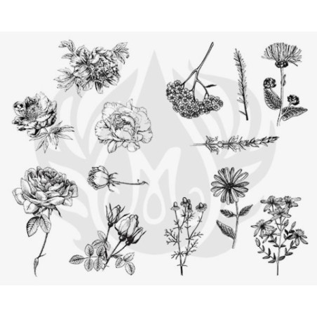 DSS-0112 Flowers