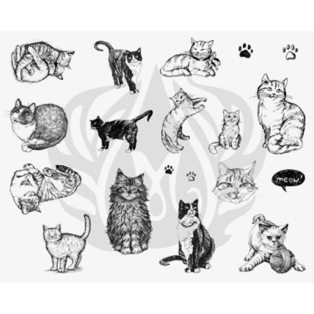 DSS-0120 Cats