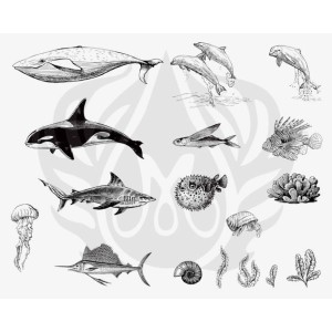 DSS-0131 Sea Life 2