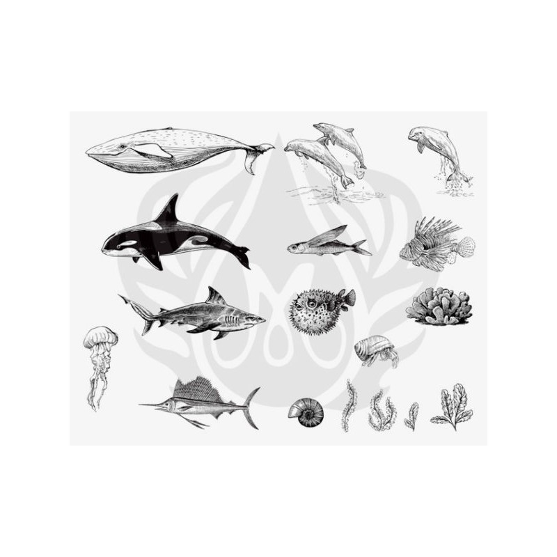 DSS-0131 Sea Life 2