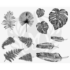 DSS-0166 Tropical Leaves