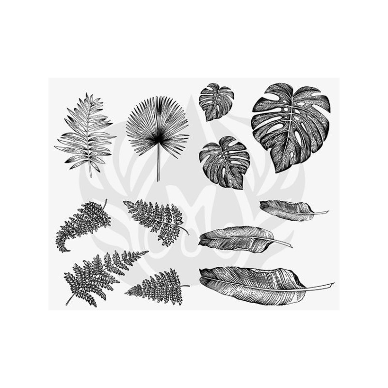 DSS-0166 Tropical Leaves