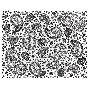 DSS-0203 Paisley Full Design