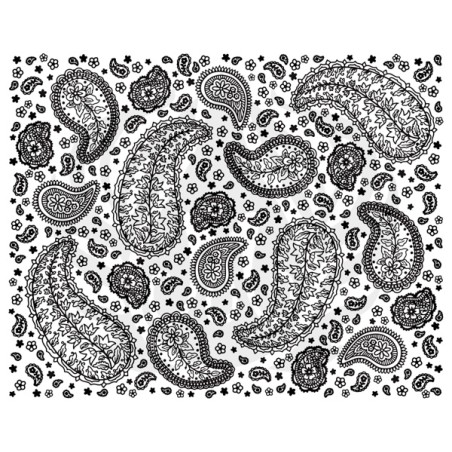 DSS-0203 Paisley Full Design