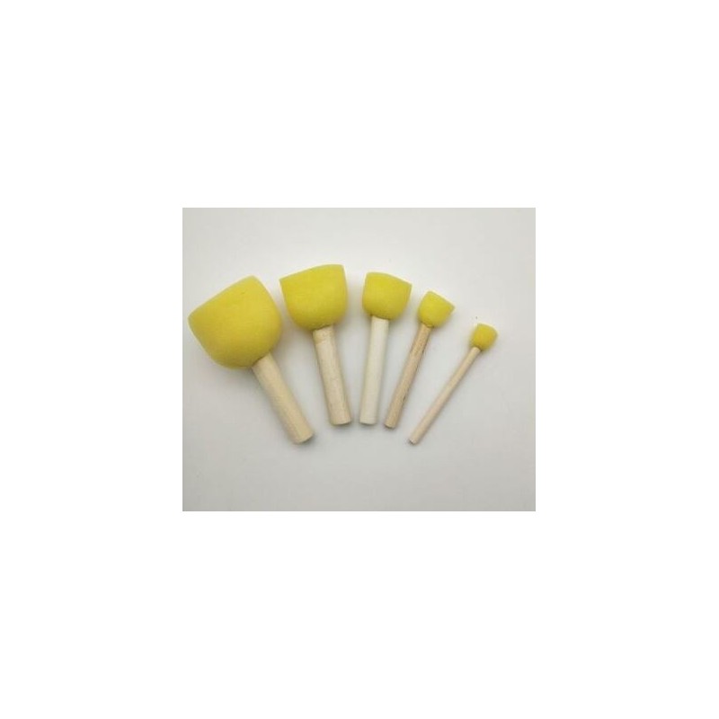 Kit 5 tamponi spugna
