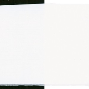 Bianco Titanio 13101 - Acrilico Primacryl Schmincke