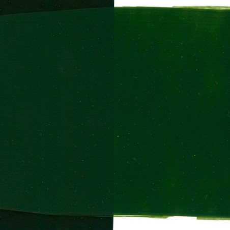 Verde vescica 13570 - Acrilico Primacryl Schmincke