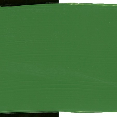 Verde ossido di cromo 13573 - Acrilico Primacryl Schmincke
