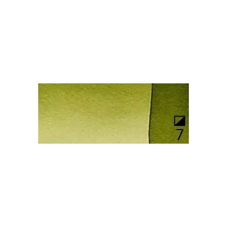 37 Sap green  - Extra Fine WaterC 1/2 godet