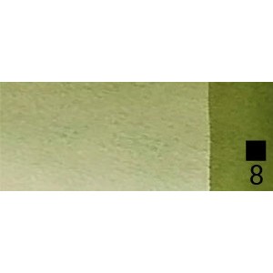 39 Green earth natural  - Extra Fine WaterC 1/2 godet