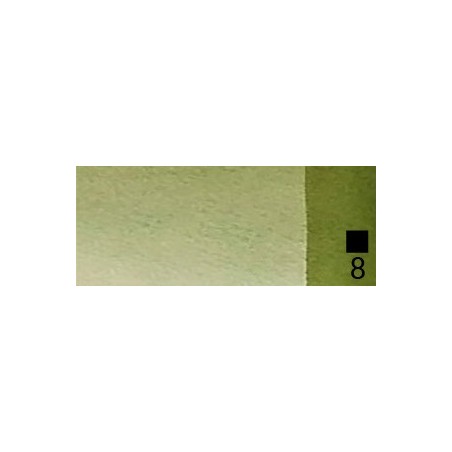 39 Green earth natural  - Extra Fine WaterC 1/2 godet