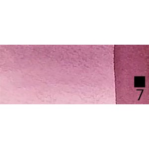 49 Caput mortum  - Extra Fine WaterC 1/2 godet