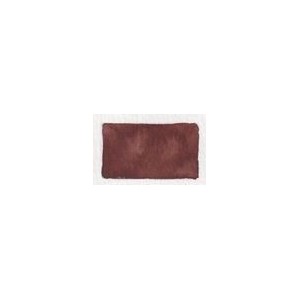 50 Burnt Umber  - Extra Fine WaterC 1/2 godet