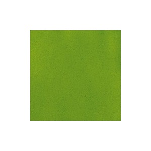 Botz9348 Spring green