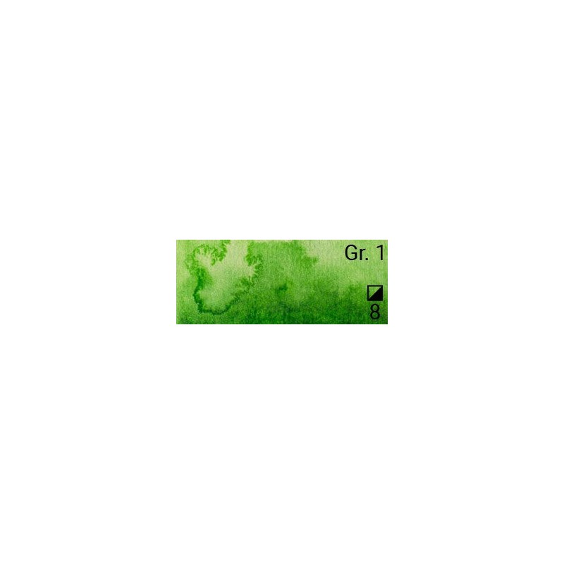 39 Permanent green - Waterc. Extra f. 15ml