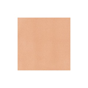 Botz9479 Flesh