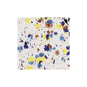Botz9502 Confetti