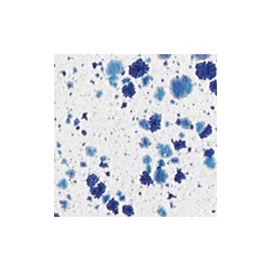 Botz9503 Frosty