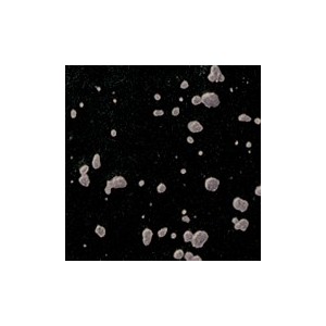 Botz9505 Titan black