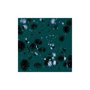 Botz9507 Ivy