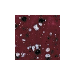 Botz9508 Christmas star