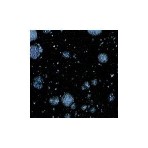 Botz9509 Polar night