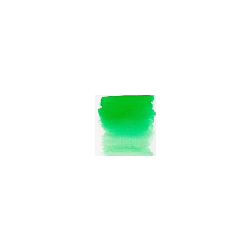 656 Forest Green - Ecoline Bottles