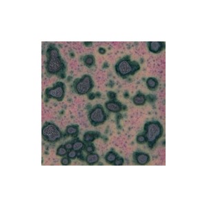 Botz9517 Scotch heather