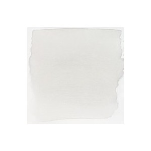728 Warm Grey Light - Ecoline Bottles