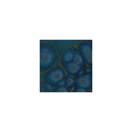 Botz9518 Peacock butterfly