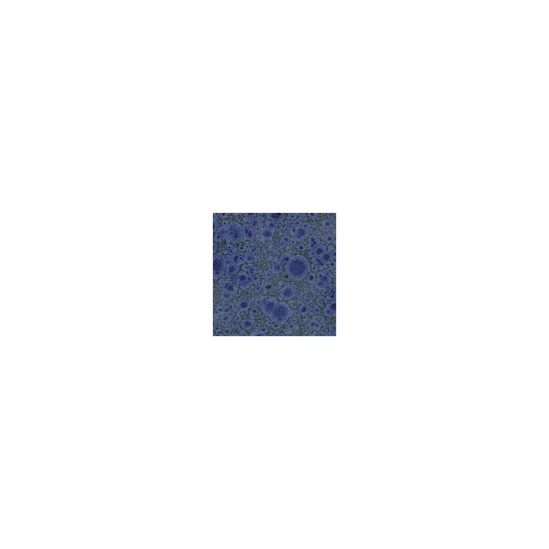 Botz9521 Picasso blu