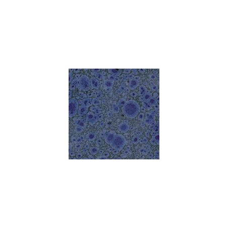 Botz9521 Picasso blu