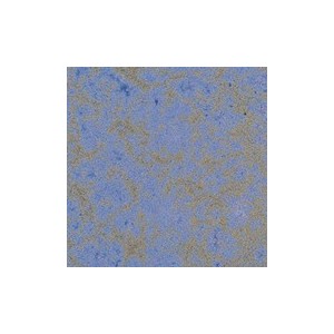 Botz9525 Meadow blossom