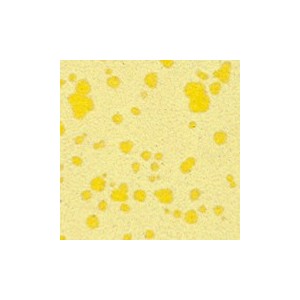 Botz9532 Lemon sorbet