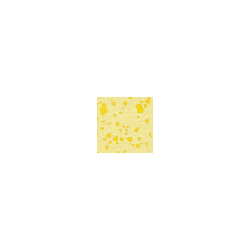 Botz9532 Lemon sorbet